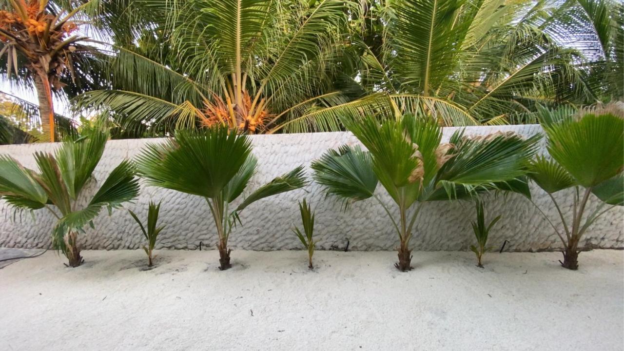 Oasis Village Fenfushi, Maldives Exterior foto